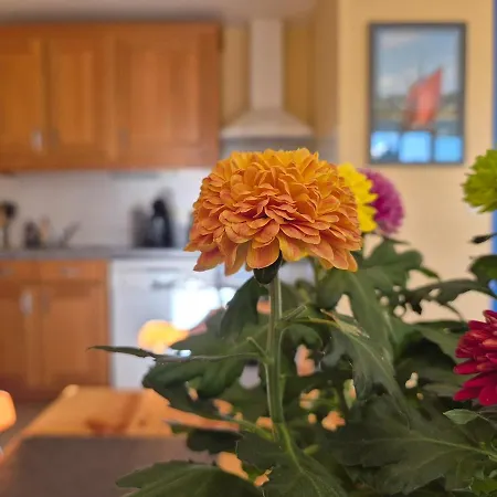 Apartman L'entre Deux - Terre & *