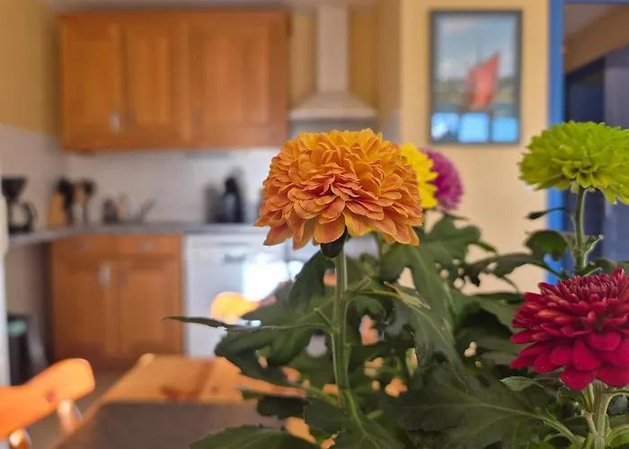 Apartman L'entre Deux - Terre & *